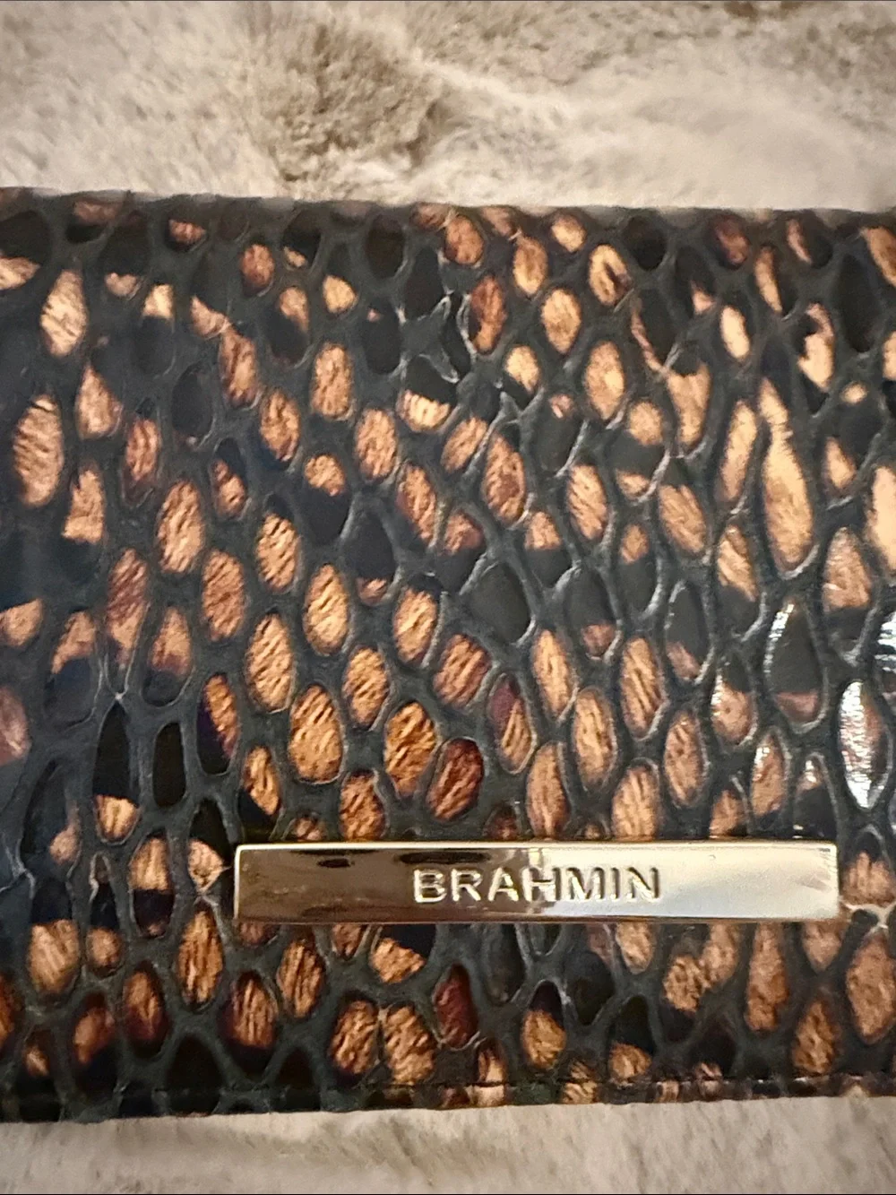 Brahmin stylish continental